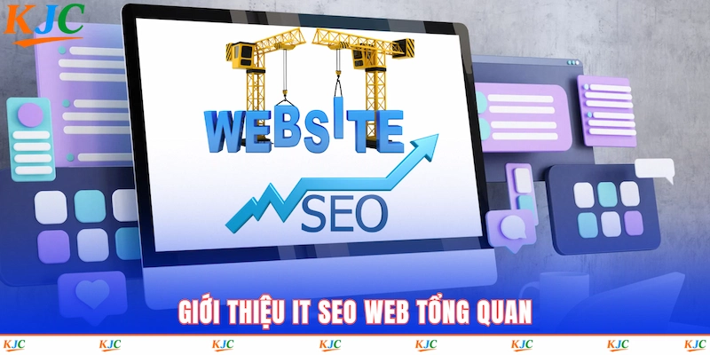 Giới thiệu IT SEO WEB tổng quan