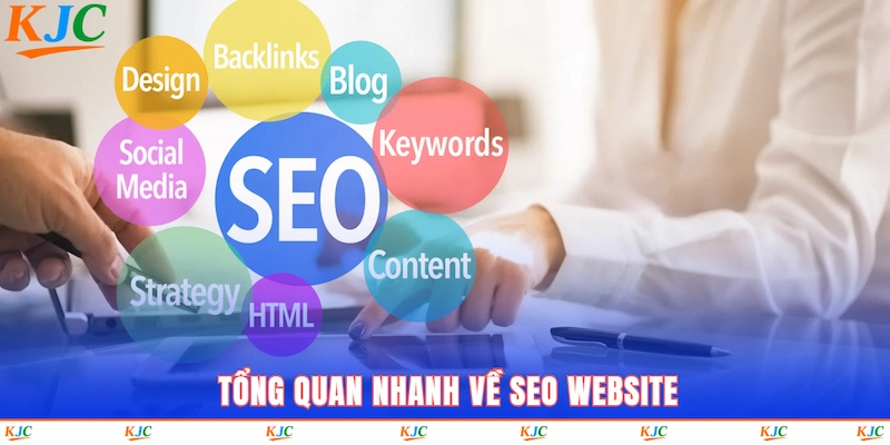 Tổng quan nhanh về SEO website